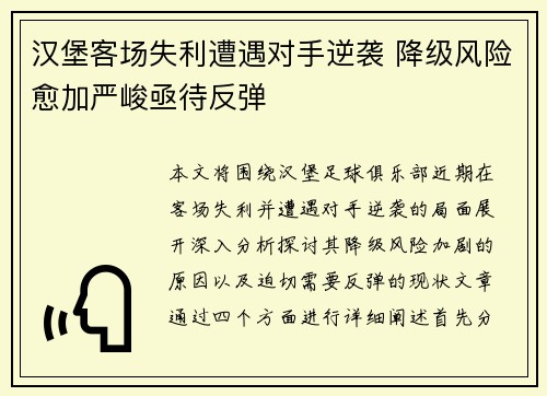 汉堡客场失利遭遇对手逆袭 降级风险愈加严峻亟待反弹