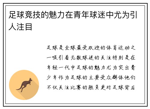 足球竞技的魅力在青年球迷中尤为引人注目